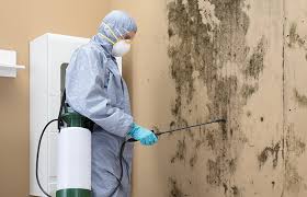 Best Comprehensive Air Testing for Mold Contaminants  in Oatfield, OR